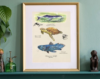 Whale, Sea Turtle Poster Print. Sea Wildlife Wall Art. Engaging and Unusual Gift Fine Art. Book Illustration Print.