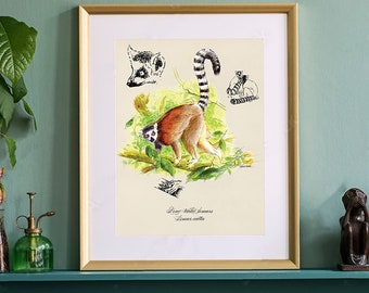 Forest Print, Madagascar Lemur Poster. Unique Wildlife Watercolor Wall Art. Engaging and Unusual Gift Fine Art. Book Illustration Print.
