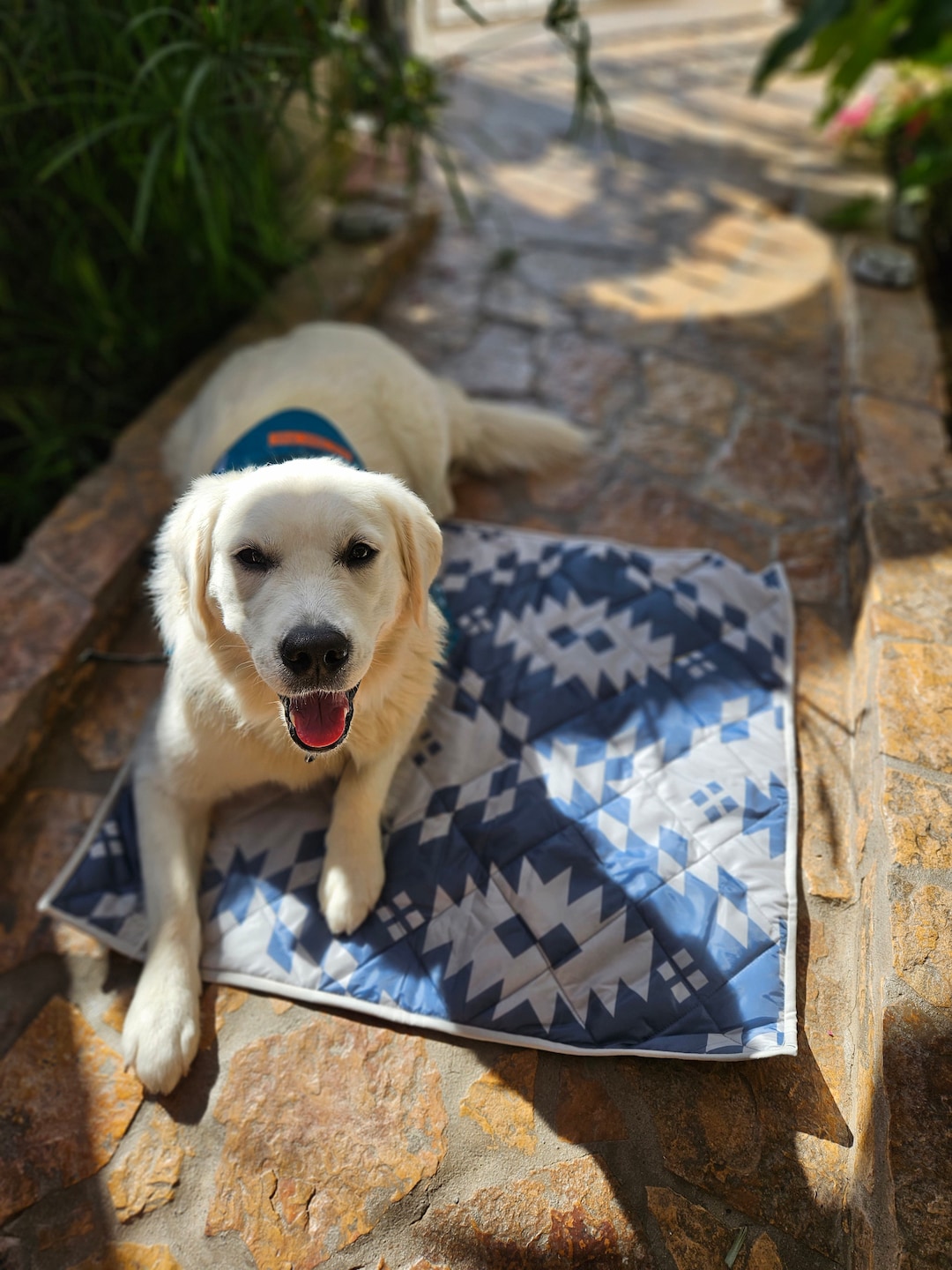 Service Dog Place Training Mat Settle Mat Quilted Training Place or  
