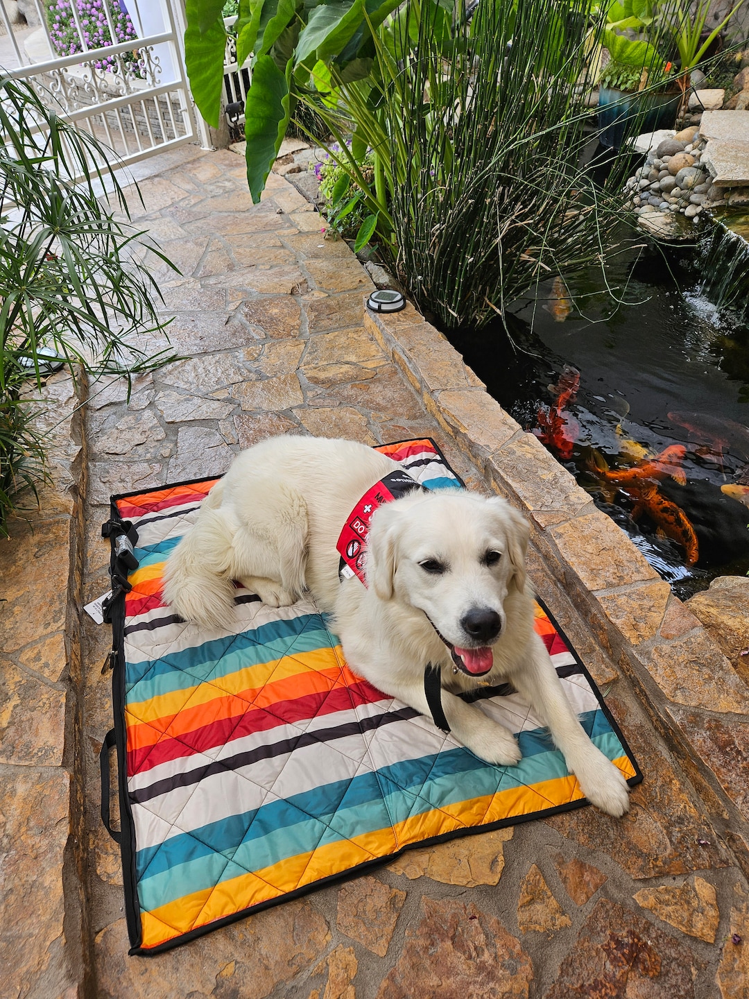 Service Dog Training Place or settle Mat Folds Into a Zippered Tote Bag Service Dog Gear Dog