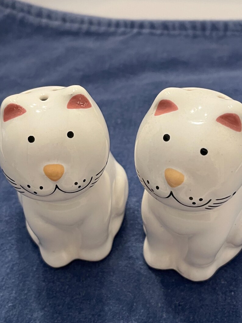 Salière Et Poivrière En Céramique Chat - Duo Mignon Pour Cuisine | Cadeau Original Pour Amoureux Des Chats