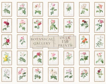 Set di stampe floreali di 150, arte da parete botanica, poster di decorazioni floreali, poster floreali vintage, pacchetto di stampe artistiche colorate Download digitale B1-169
