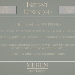 May include: A digital download of 9 high-resolution printable art files in various sizes, including 5x7 inches, 8.5x11 inches, 10x14 inches, 14x14 inches, 16x20 inches, 18x24 inches, 20x24 inches, 24x36 inches, and A2. The text "INSTANT DOWNLOAD" is displayed in a light beige color on a light green background. The text "No Product Shipped" and "Digital Only" are displayed in a light beige color on a gray background. The text "MERLIN ART PRINTS" is displayed in a light beige color on a light green background.
