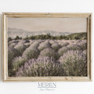 Puede incluir: Una fotograf&iacute;a enmarcada de un campo de lavanda con una cordillera de monta&ntilde;as en el fondo. La foto tiene un aspecto vintage y descolorido.