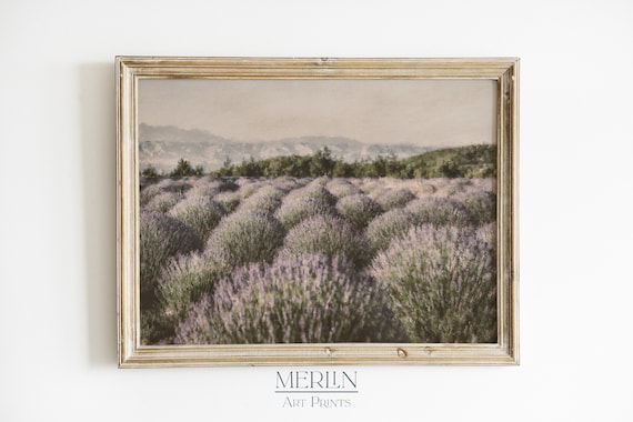 Lavender Field Print Flower Oil Painting Digital Download PRINTABLE Vintage Art Print #19