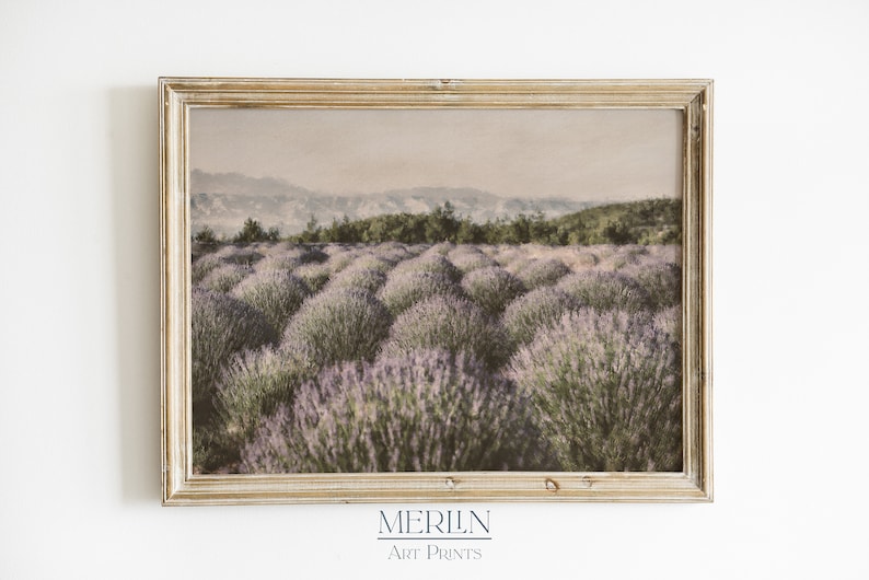 Puede incluir: Una fotograf&iacute;a enmarcada de un campo de lavanda con una cordillera de monta&ntilde;as en el fondo. La foto tiene un aspecto vintage y descolorido.