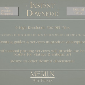 May include: A digital download of 9 high-resolution printable art files in various sizes, including 5x7 inches, 8.5x11 inches, 10x14 inches, 14x14 inches, 16x20 inches, 18x24 inches, 20x24 inches, 24x36 inches, and A2. The text "INSTANT DOWNLOAD" is displayed in a light beige color on a light green background. The text "No Product Shipped" and "Digital Only" are displayed in a light beige color on a gray background. The text "MERLIN ART PRINTS" is displayed in a light beige color on a light green background.