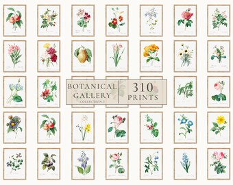 Set di stampe floreali di 310, arte da parete botanica, poster di decorazioni floreali, poster floreali vintage, pacchetto di stampe artistiche colorate Download digitale B3-310