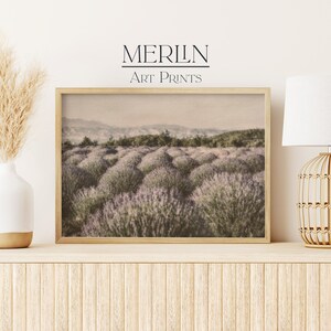 Puede incluir: Una fotograf&iacute;a enmarcada de un campo de flores de lavanda en una paleta de colores suaves y de inspiraci&oacute;n vintage. La imagen se coloca contra una pared blanca con un jarr&oacute;n de hierba de la pampa seca y una l&aacute;mpara de mimbre en un estante de madera.