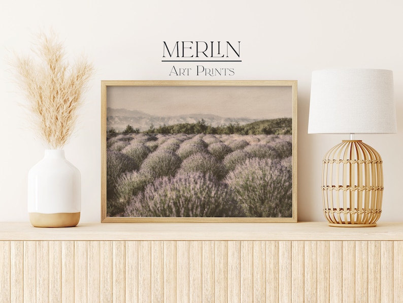 Puede incluir: Una fotograf&iacute;a enmarcada de un campo de flores de lavanda en una paleta de colores suaves y de inspiraci&oacute;n vintage. La imagen se coloca contra una pared blanca con un jarr&oacute;n de hierba de la pampa seca y una l&aacute;mpara de mimbre en un estante de madera.
