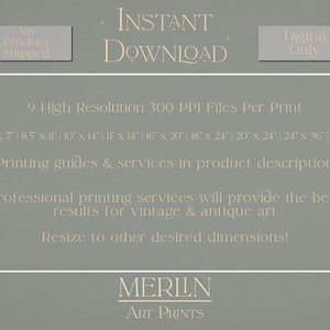 May include: A digital download of 9 high-resolution printable files for vintage and antique art. The files are available in 300 PPI and in sizes ranging from 5x7 inches to 24x36 inches.  INSTANT DOWNLOAD. MERILN ART PRINTS.