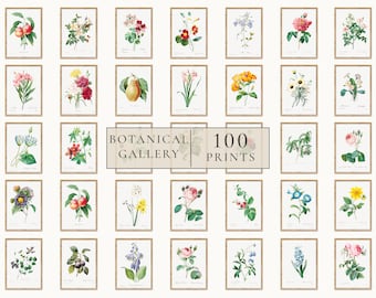 101枚のヴィンテージフランス植物プリント、花柄ウォールアートセット（デジタルダウンロード）