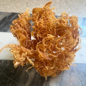 St Lucia Gold Wildcrafted Sea Moss | Premium Grade A- 100% Wild Crafted Irish Sea Moss
