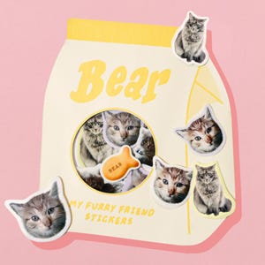 Stickers chats personnalisés - Stickers personnalisés pour portrait d'animal de compagnie avec emballage cadeau personnalisé, cadeau animal de compagnie pour les amoureux des chats et des chiens