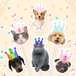 Topos de cupcake personalizados para cachorro, topos de cupcake personalizados com rosto de gato, coroa de festa