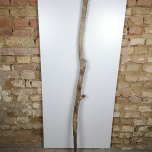 May include: A long, weathered, light brown branch with a few small branches extending from the main branch. The branch is leaning against a white surface.