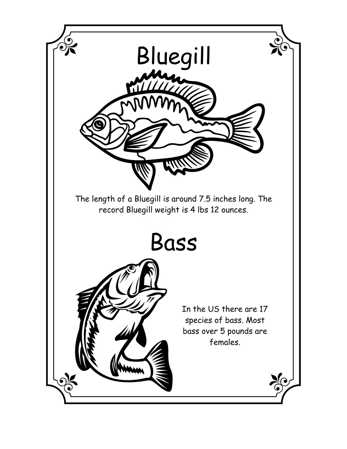 Bluegill amp Bass Digital Coloring - Il 1140xN.5430736374 762c 