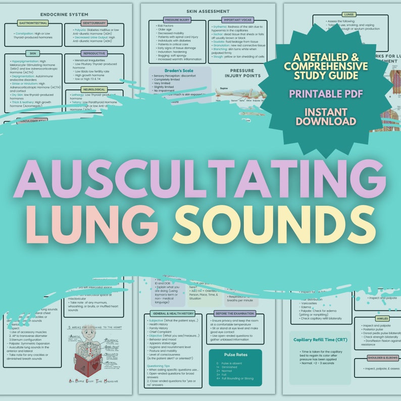 Auscultating Lung Sounds Nursing Study Sheets Med School Learning Material Premed Digital Notes