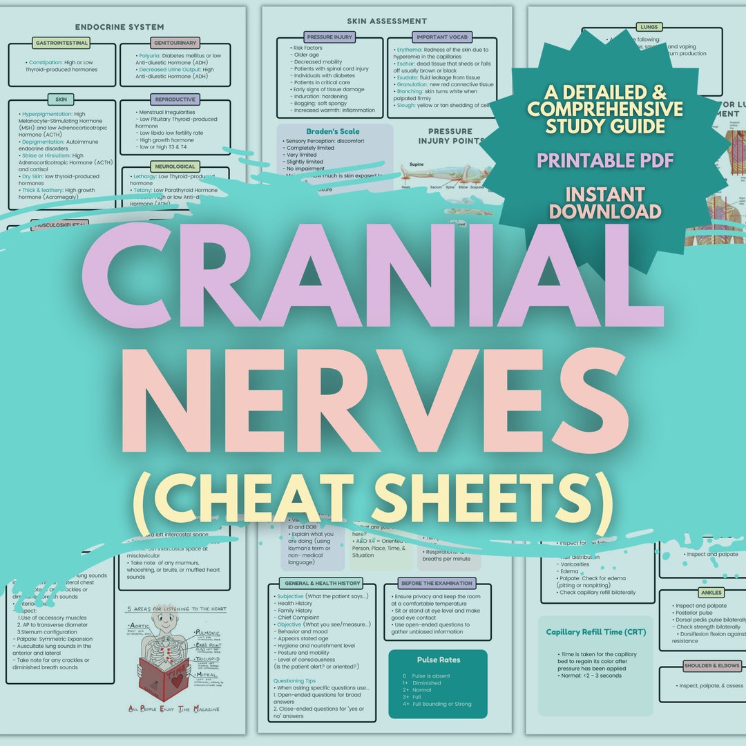 Cranial Nerves Cheat Sheet Lesson Instant PDF Printable Guide Med