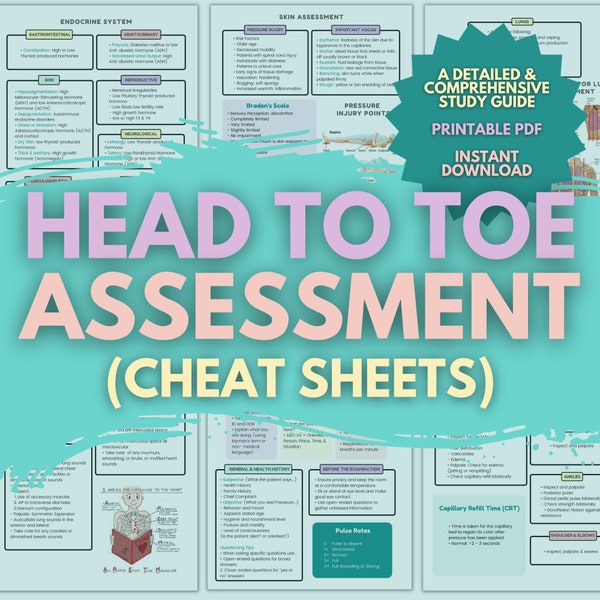 Head-to-toe Assessment Cheat Sheet | Nursing Study Sheets | Med School Learning Material | Premed Digital Notes Book | Download