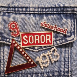 DST Pins and Brooches image 1
