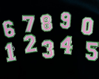Line Number Pin (pink and green)