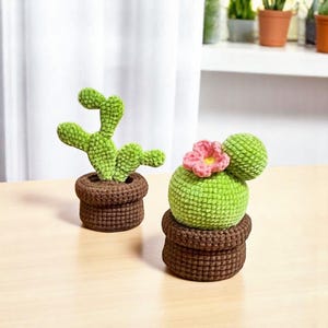 Cactus Crochet Pattern 2in1 Bundle, Amigurumi Plant Pattern, Crochet Home Decor, Cactus Bloom Pots Patterns, Digital PDF Pattern