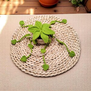 Plant Car Hanging Pattern, Plant Crochet Pattern, Hanging basket crochet, Crochet Car Plant Hanging, Plant Lover Gift, Cute Crochet Flower