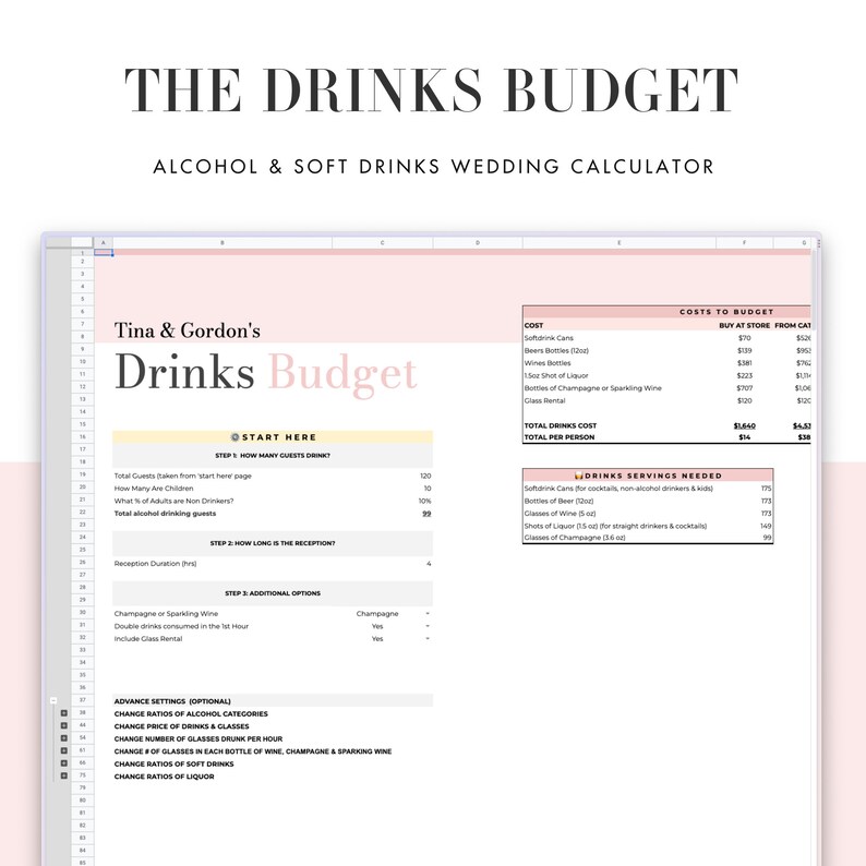 Wedding Planning Drinks Budget Spreadsheet, part of the All-in-One Wedding planner