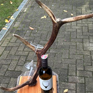 Puede incluir: Un soporte para botellas de vino hecho de una cornamenta de ciervo con una botella de vino y una copa. La cornamenta está montada sobre una base de madera. La etiqueta de la botella de vino dice "Michael Grussweil".