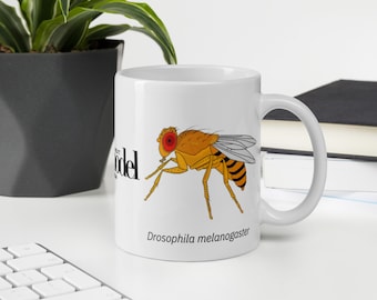 Drosophila fruitfly mug