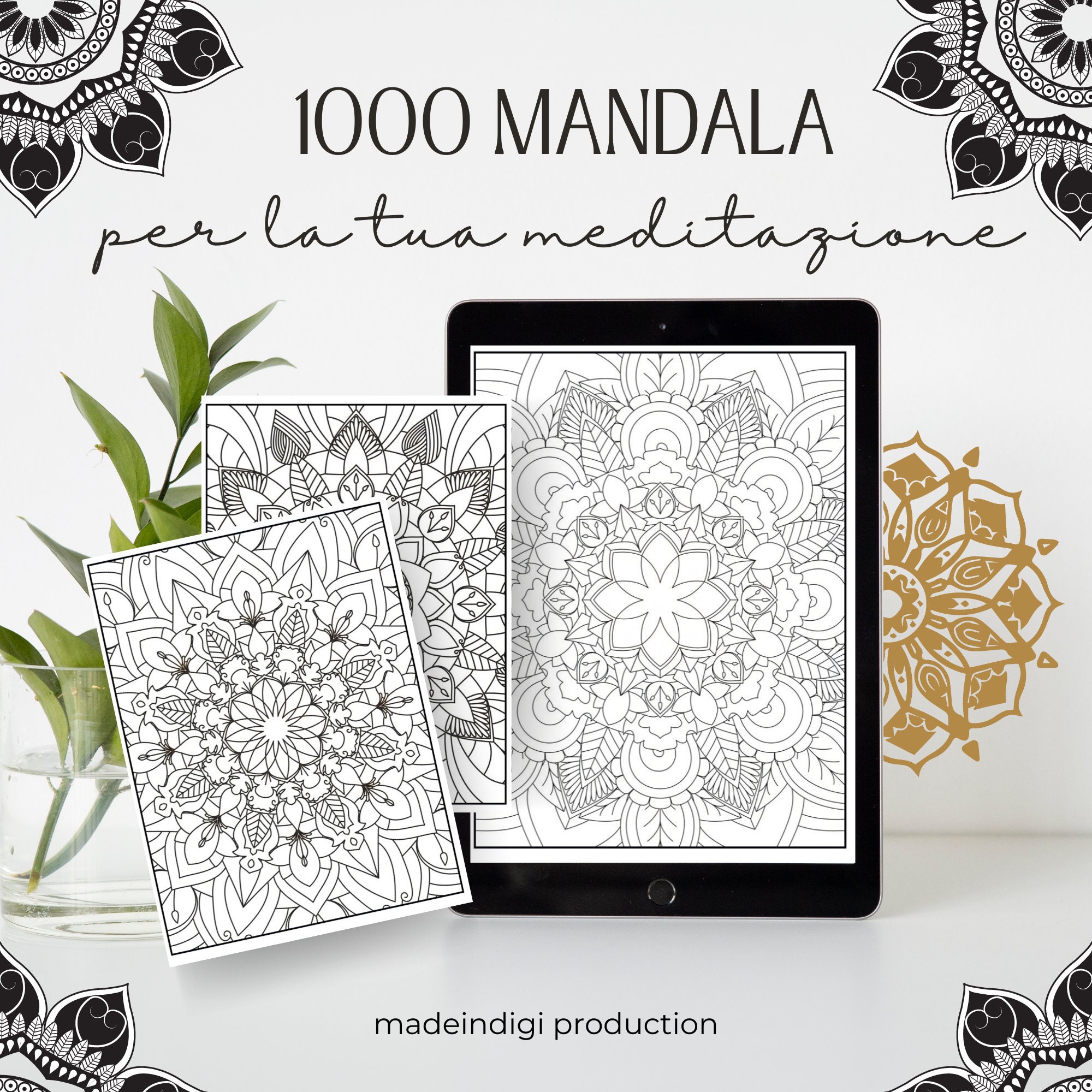 1000 Mandala Da Colorare Mandala Therapy Mandala per Adulti Mandala  Antistress Meditazione Coi Mandala 