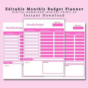 Editable Budget Planner || Daily Budget Planner