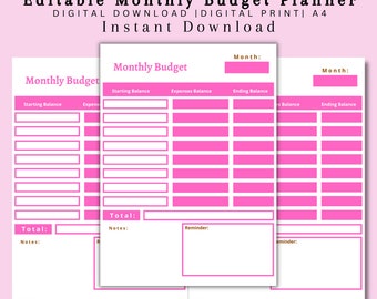 Editable Budget Planner || Daily Budget Planner