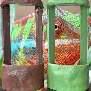 May include: Two small, decorative terrariums, one brown and one green, sit on a black base. A colorful chameleon is visible through the terrariums. The terrariums have a rectangular shape with a textured surface.