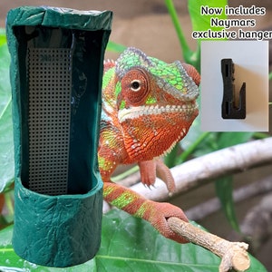Cricket feeder for chameleon 2025