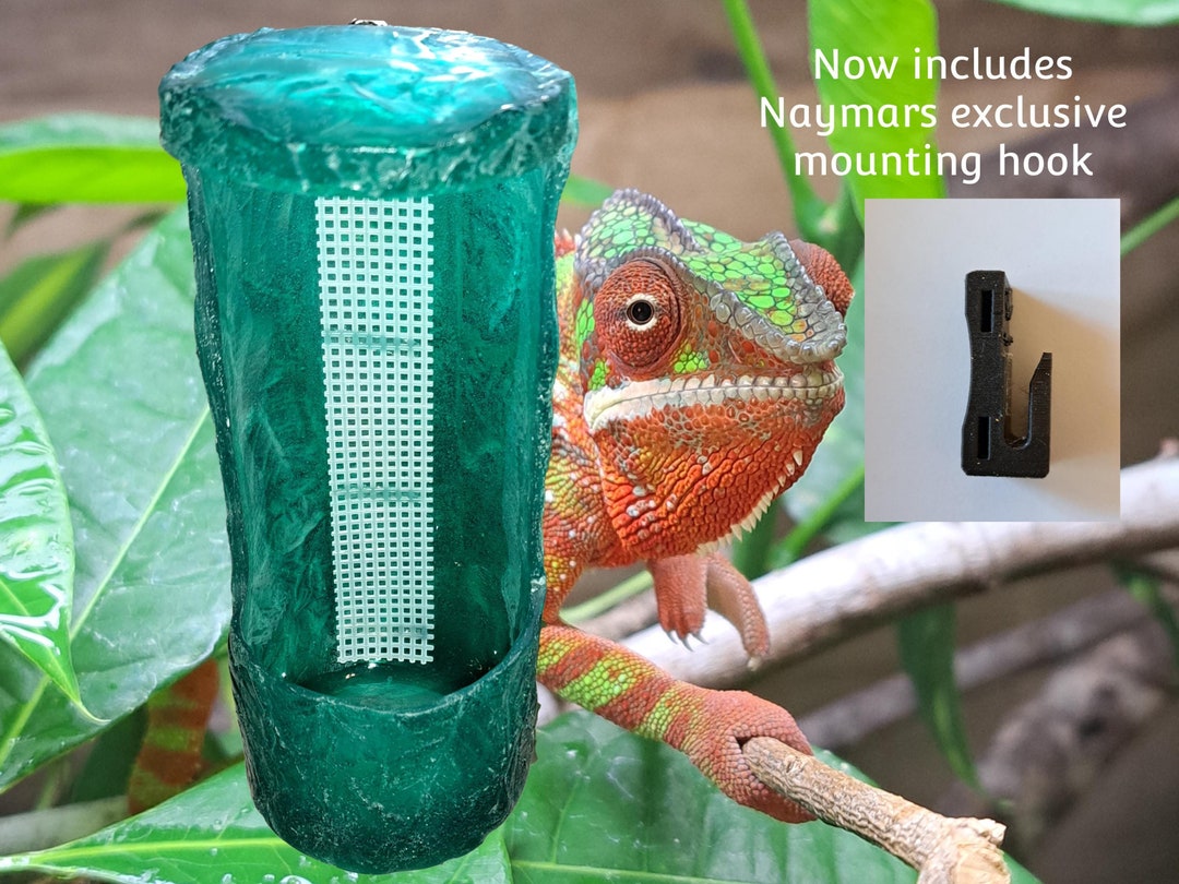 View of Selecting Crickets: Sizes, Species, and What's Best for Your Needs.