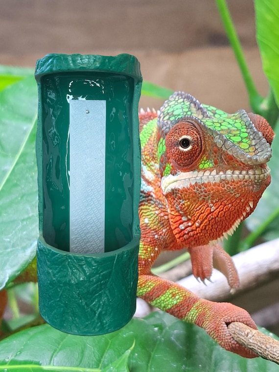 Naymars' Lizard-alley Cricket Feeder. Durable Made in the USA
