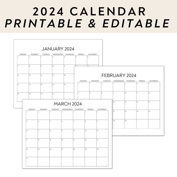 2024 Monthly Calendar, Minimal, 12 Month Calendar, Blank, Digital Download, Editable PDF, Canva Template Link, Fill in calendar