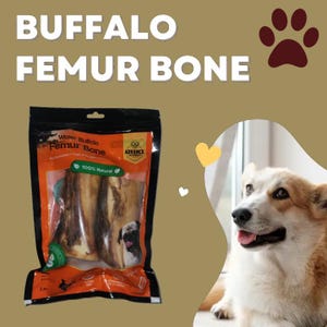 Water Buffalo Femur Bone Dog Chew | All-Natural, Odor-Free, Single-Ingredient Treat | Long-Lasting Bone for Large Dogs
