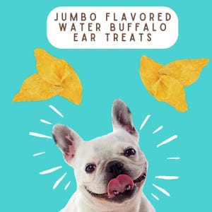 Premios Jumbo de Orejas de Búfalo para Perros: Sabor a Mantequilla de Cacahuete, Masticables Naturales, de Larga Duración y Altos en Proteínas para Perros Grandes