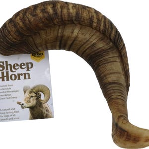 Natural Sheep Horn Dog Chew – Long-Lasting Treat for All Breeds | Free-Range Himalayan Grass-Fed Sheep Horn