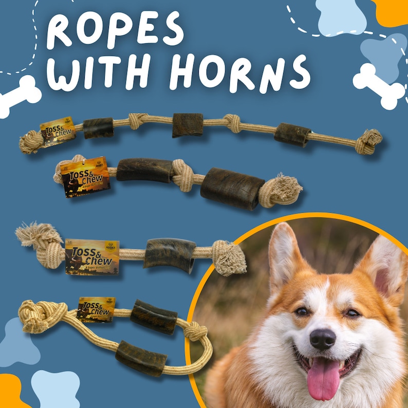 May include: A set of four dog chew toys made of natural horn and rope. The toys are in different shapes and sizes, and they are all labeled "Toss & Chew".