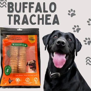 Trachea di bufalo naturale per cani - Misure 6" e 12", masticabile con un solo ingrediente, snack naturale di prima qualità per cani, supporto per le articolazioni