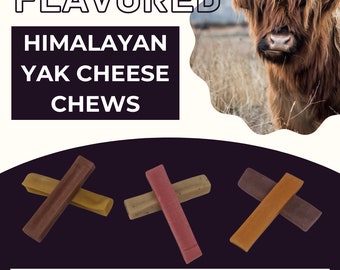 Flavored Yak Cheese Dog Chews – Himalayan Style, Long Lasting, Natural Treats with Superfoods | Pumpkin, Blueberry, Honey & More
