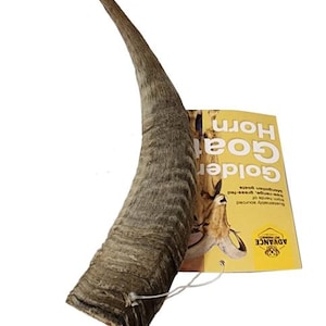 Golden Goat Horn Dog Chew – All-Natural Dental Treat with Marrow | Long-Lasting Chew in Small, Medium, Large