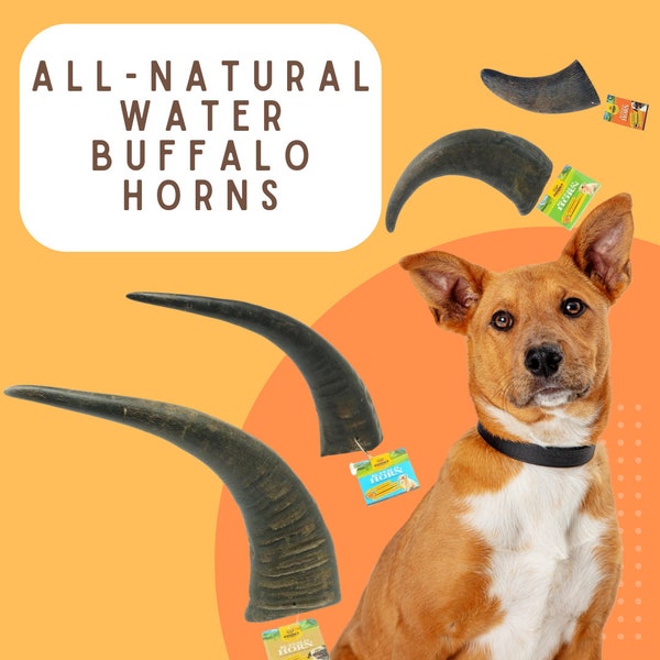 Water Buffalo Horns! Great for aggressive chewers! Long-lasting and does not splinter like rawhide!