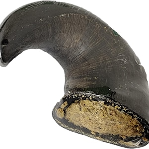 Super Fills Horn Dog Chews – Stuffed Horn, Hoof, Trachea & Goat Horn | Long-Lasting, Natural, High-Protein Treat Variety