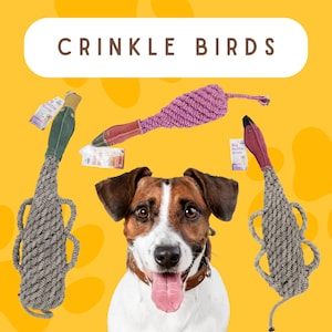 May include: A brown and white dog with a happy expression looks at the camera. The dog is surrounded by three rope toys shaped like birds. The toys are made of a crinkled rope material and have a purple, green, and brown color scheme. The toys are labeled "Big Bottle Birds".