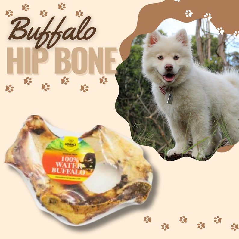 May include: A large, light brown buffalo hip bone dog chew. The bone is shaped like a hip bone with a large hole in the center. The bone is labeled "100% Water Buffalo".